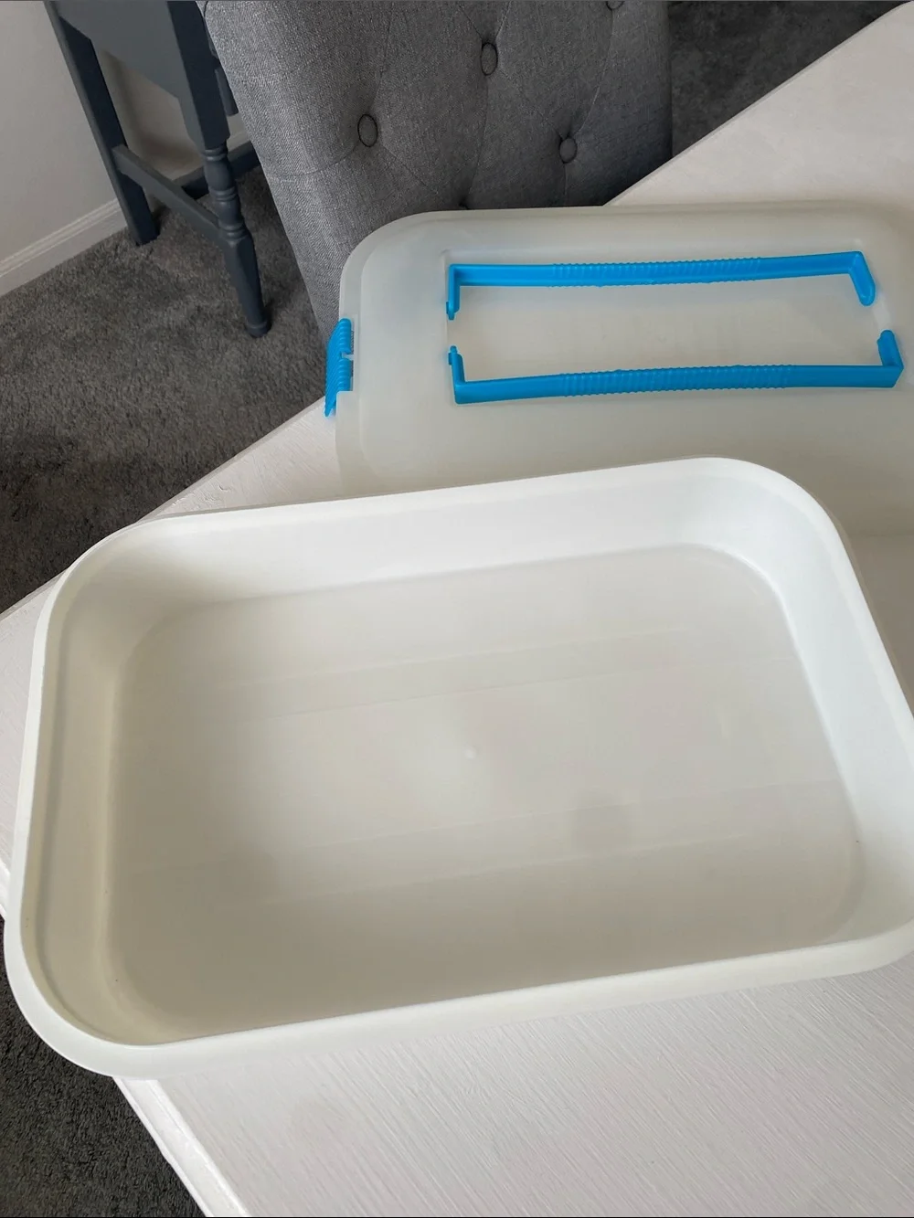 Tupperware Storage Container Cookies, Cakes, Cupcakes, Pies, Anything that Fits